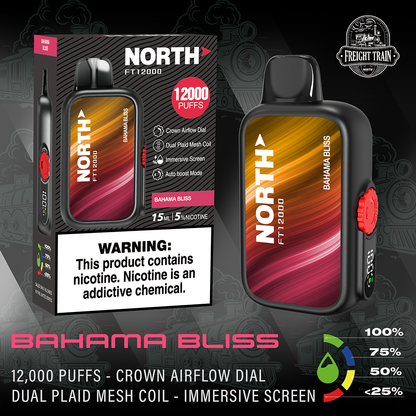 North FT12000 Vape |